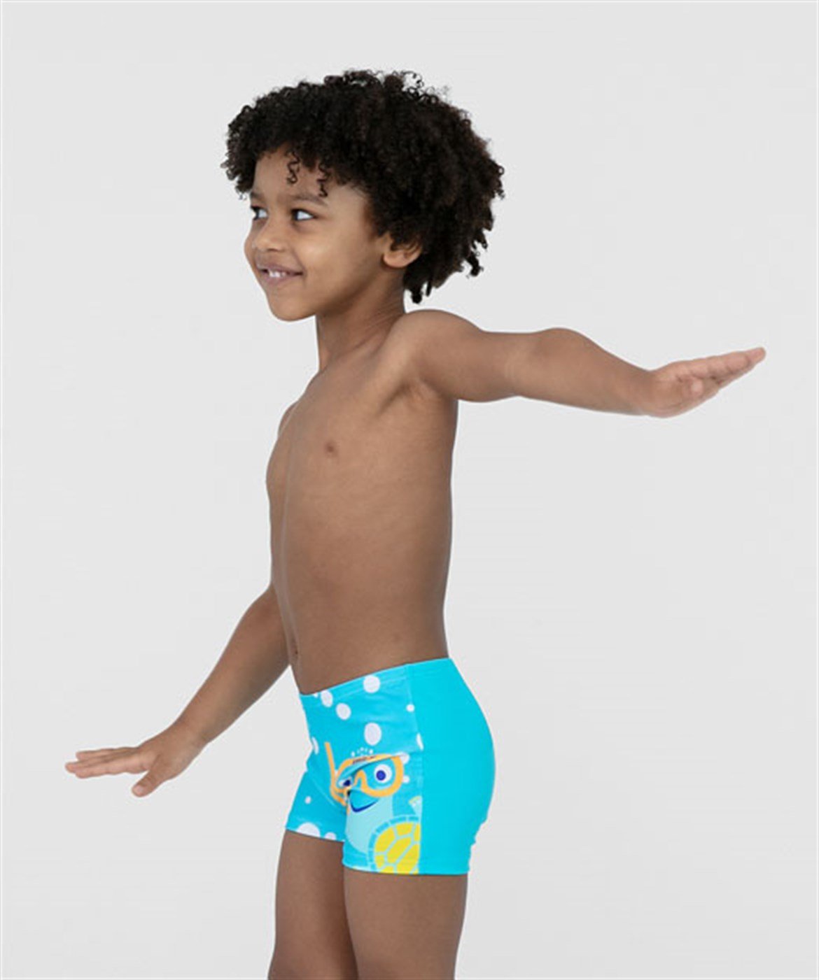 SPEEDO TURTLE PLMT ASHT IM