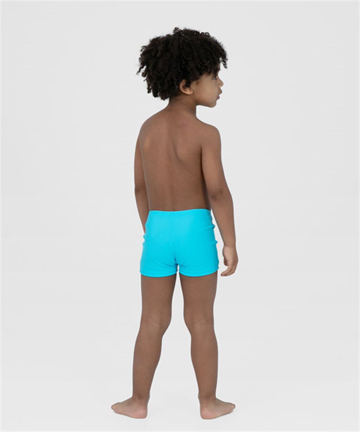 SPEEDO TURTLE PLMT ASHT IM