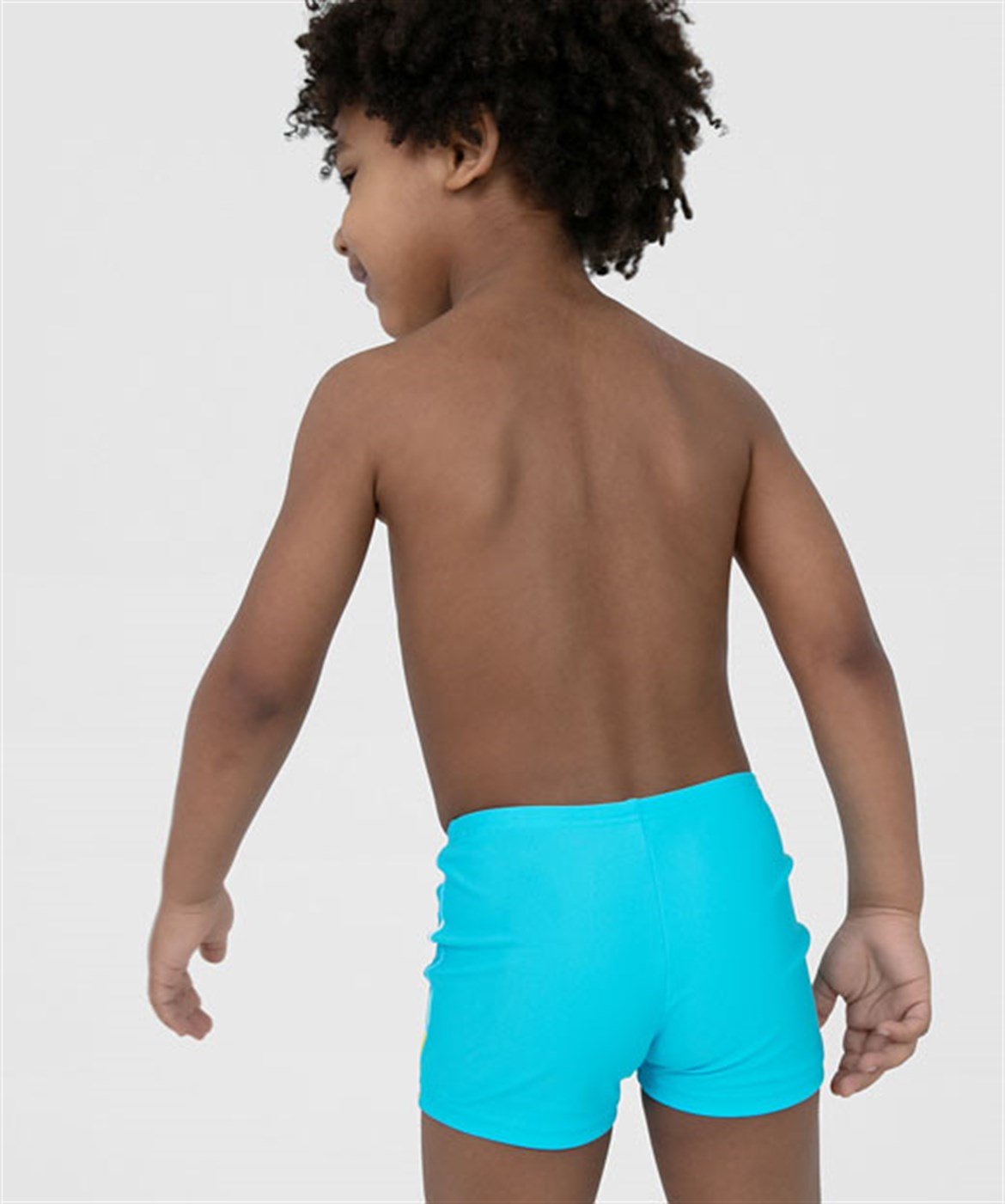 SPEEDO TURTLE PLMT ASHT IM