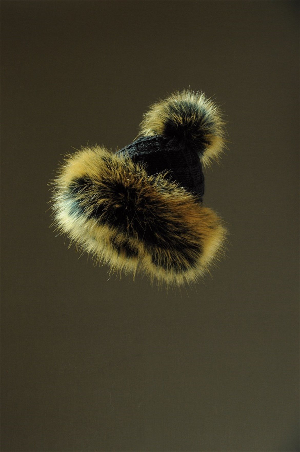 STARLING SAPKA