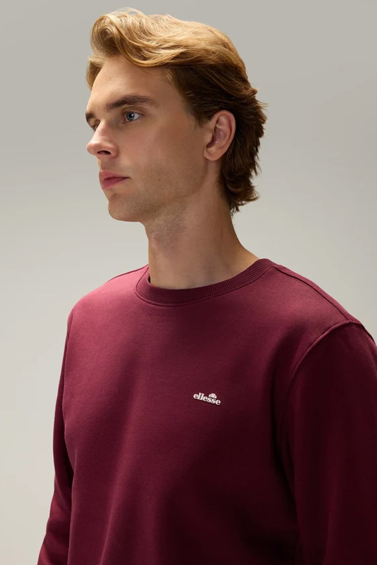Ellesse Erkek Sweatshirt 6WM3003-BRD