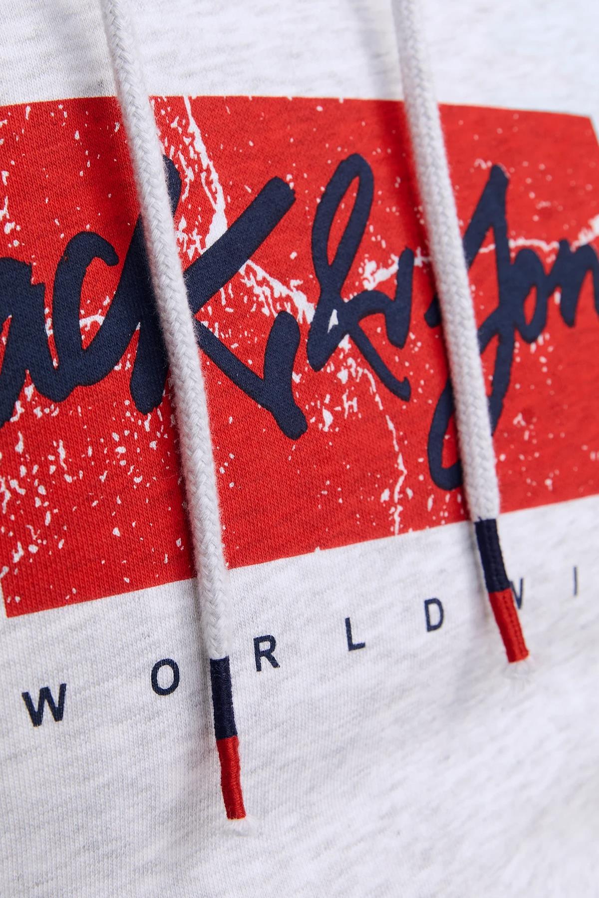 Jack & Jones Tiley Kapüşonlu Erkek Sweat 12256807