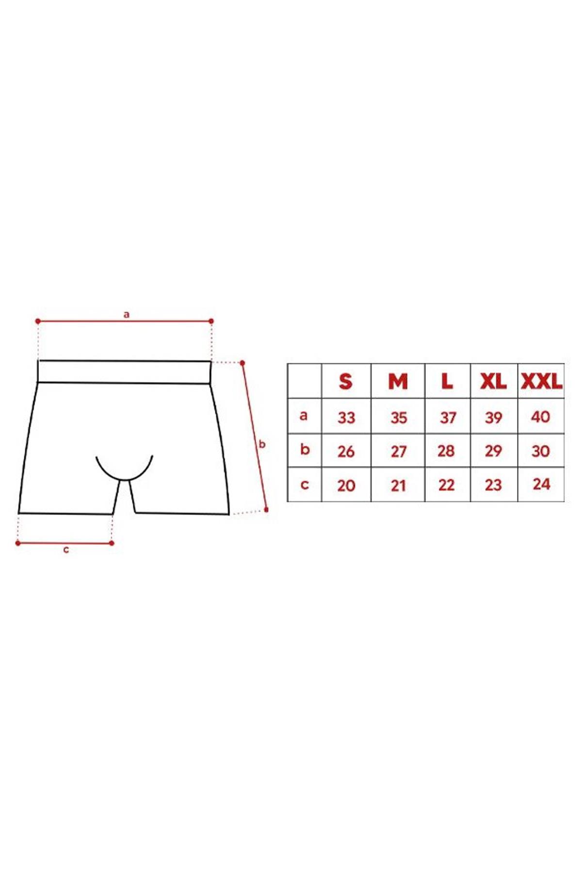 John Frank Üçlü Campus Erkek Boxer JF3BCA12