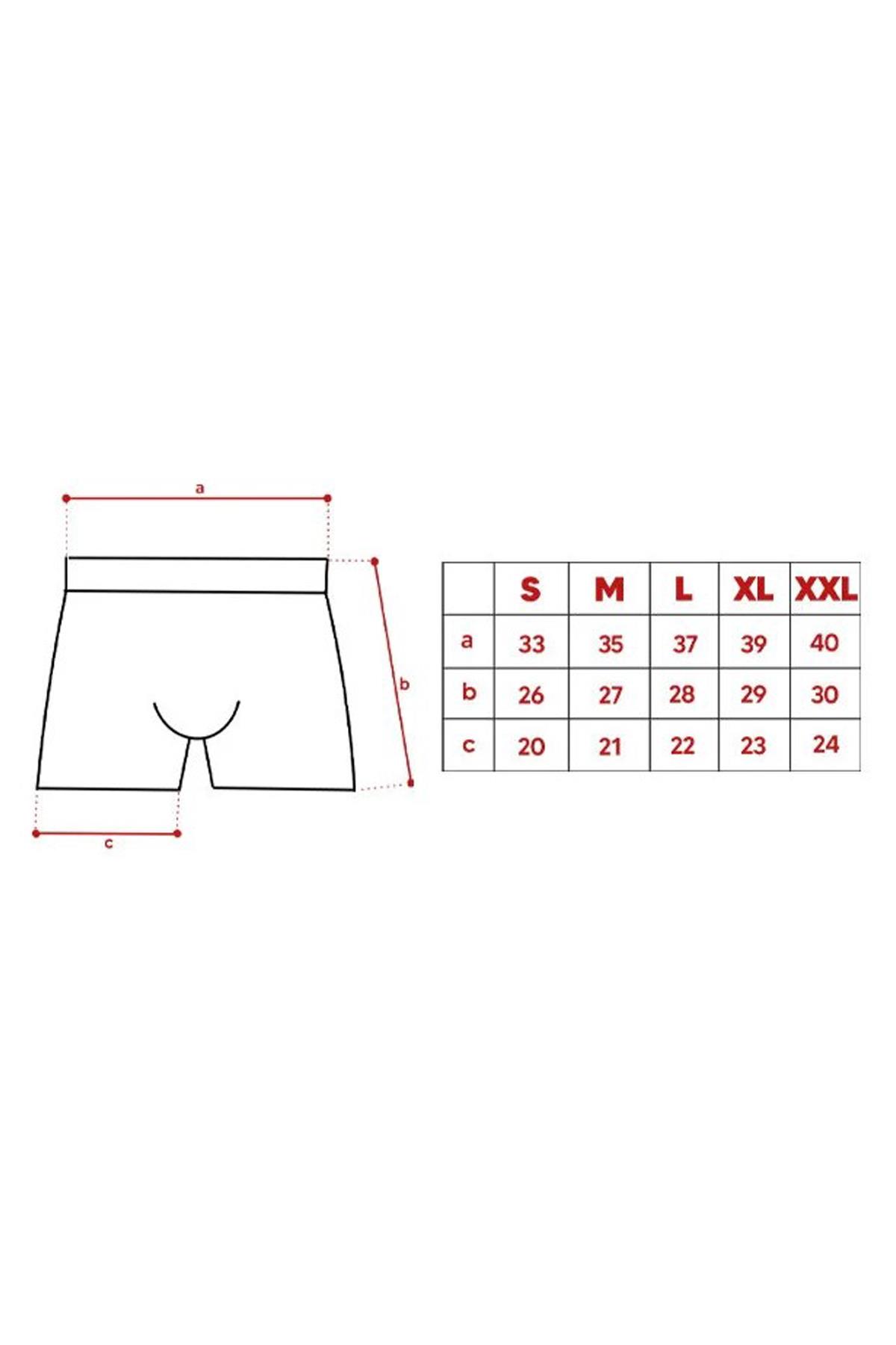 John Frank Üçlü Erkek Boxer JF3B09