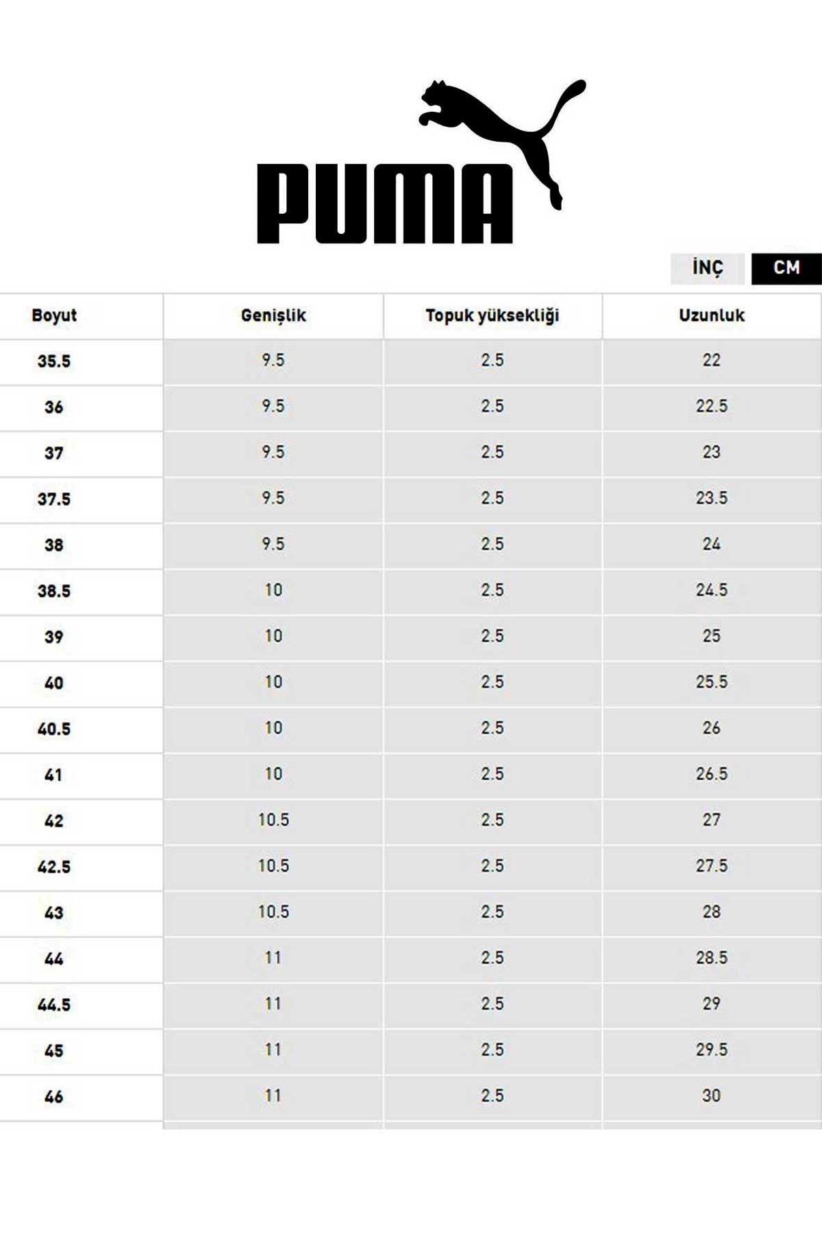Puma Anzarun 2.0 Erkek Spor Ayakkabı 38921303