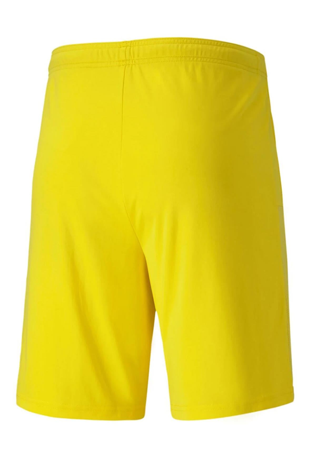 Puma Team Goal Erkek Antreman Şort 70426207