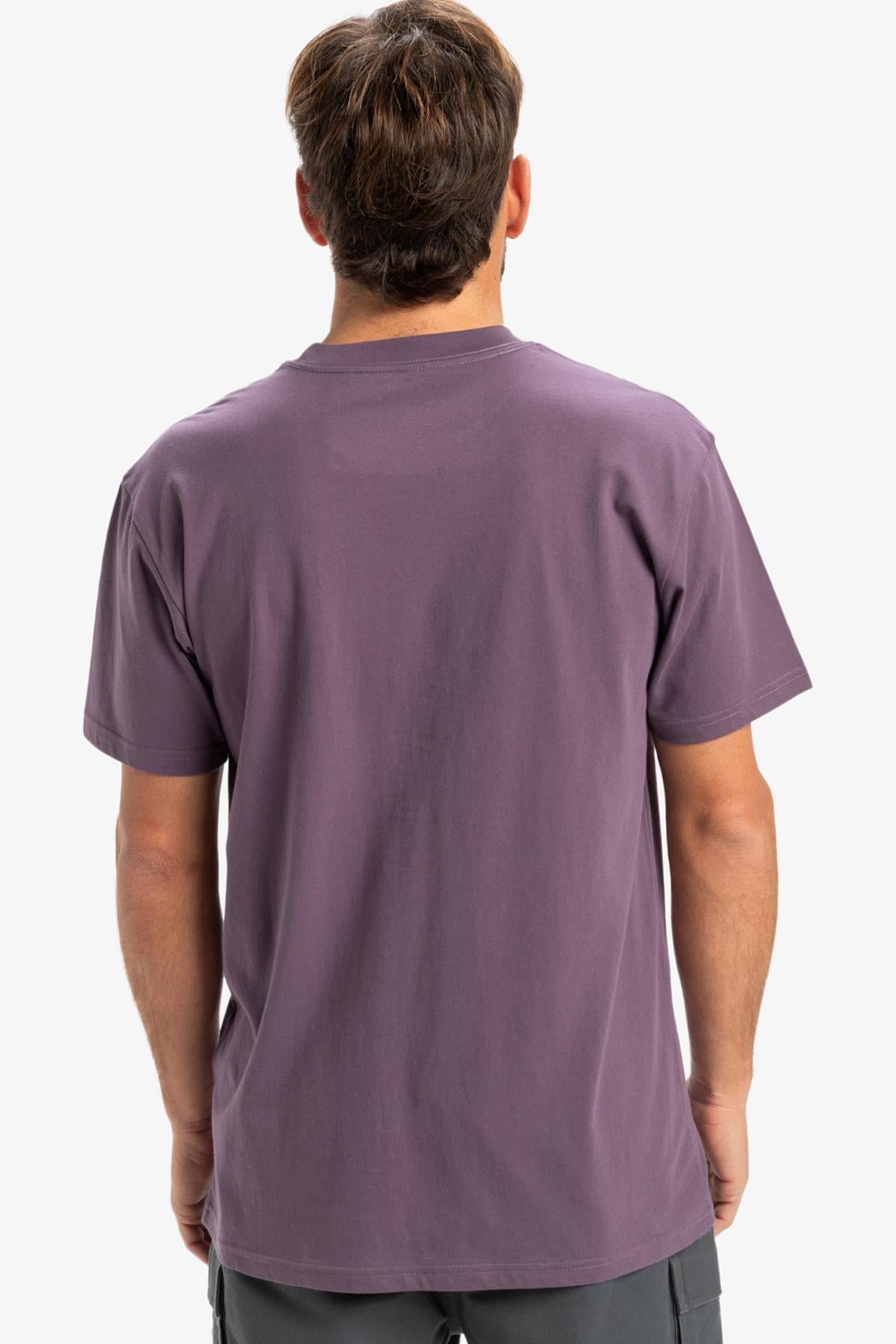 Quiksilver Ev Mini Logo Erkek Tişört