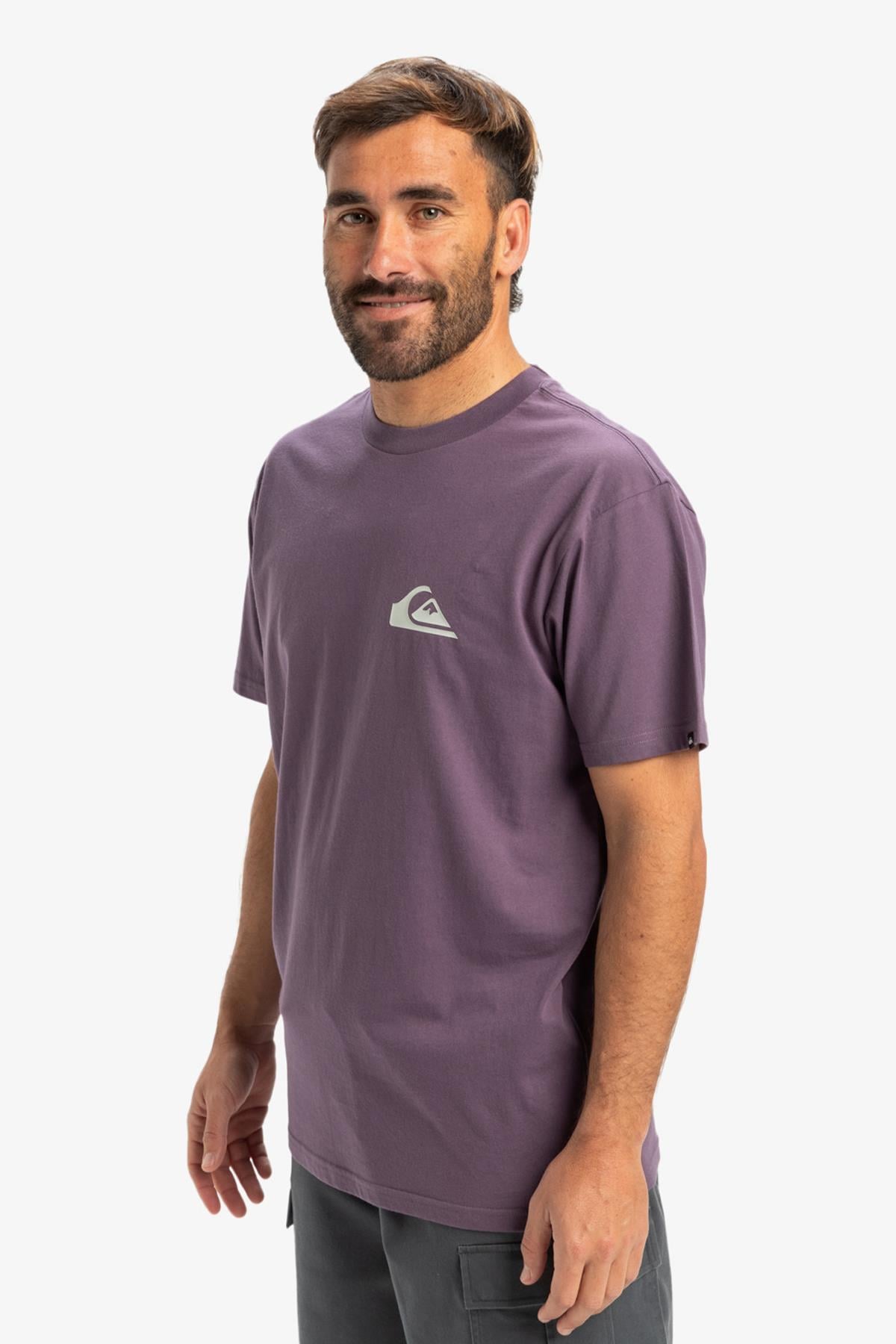 Quiksilver Ev Mini Logo Erkek Tişört