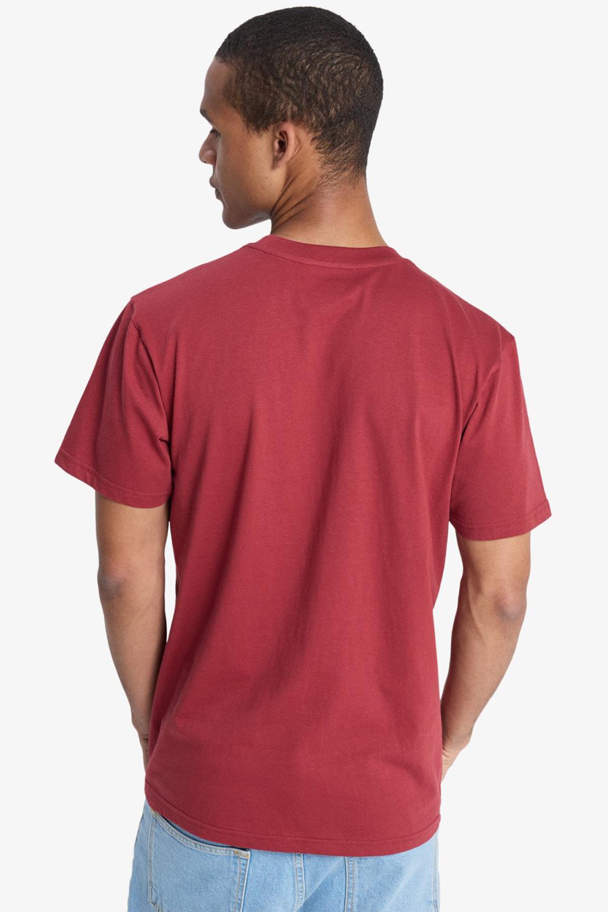 Quiksilver Ev Mini Logo Erkek Tişört EQYZT08181-RQZ0