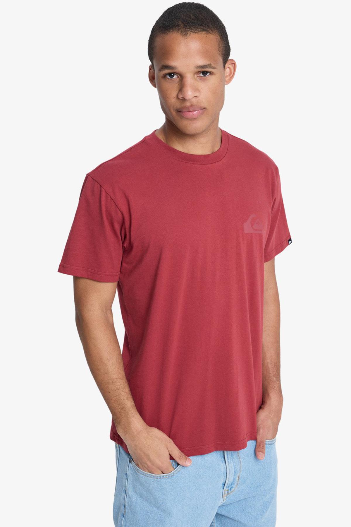 Quiksilver Ev Mini Logo Erkek Tişört EQYZT08181-RQZ0