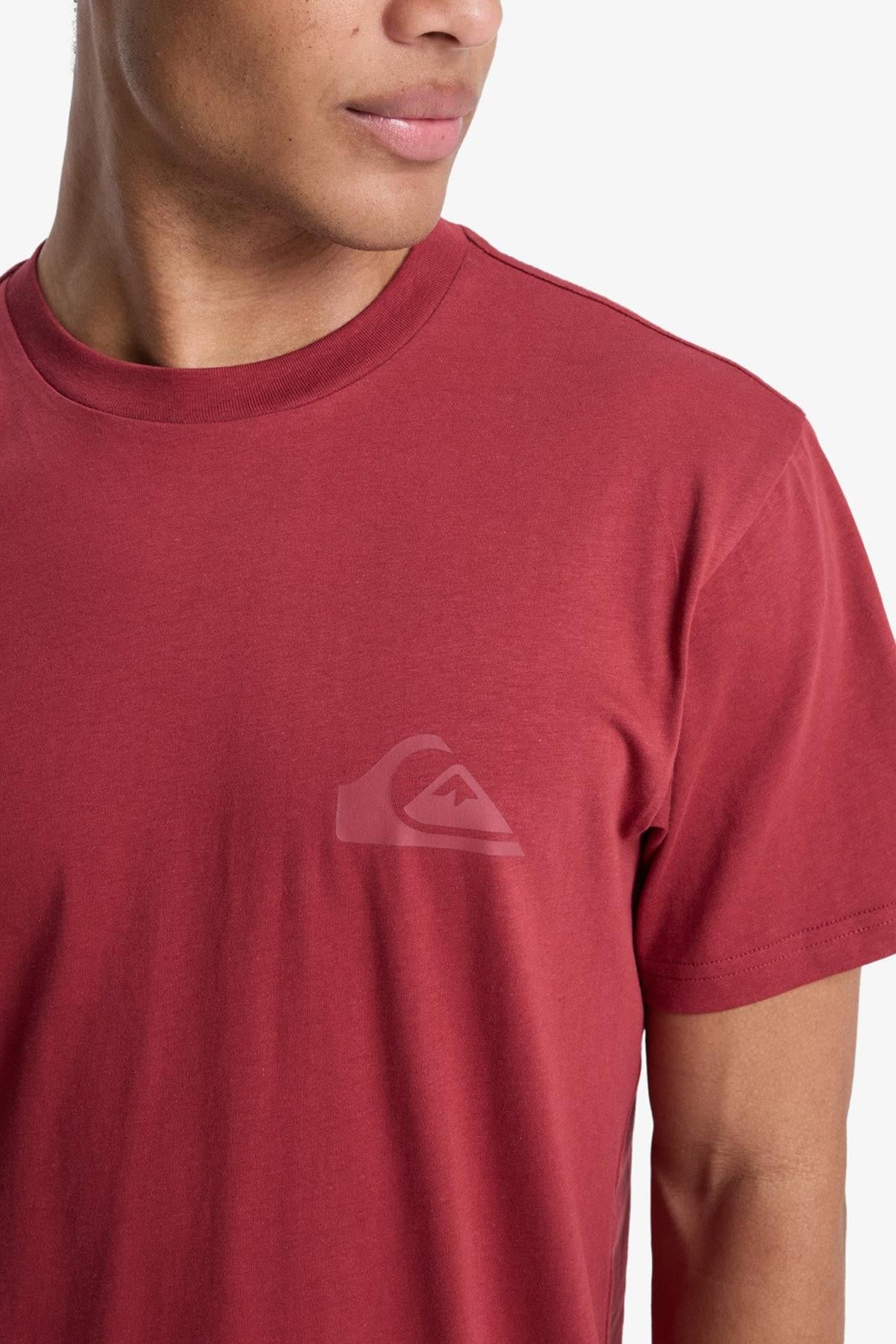 Quiksilver Ev Mini Logo Erkek Tişört EQYZT08181-RQZ0