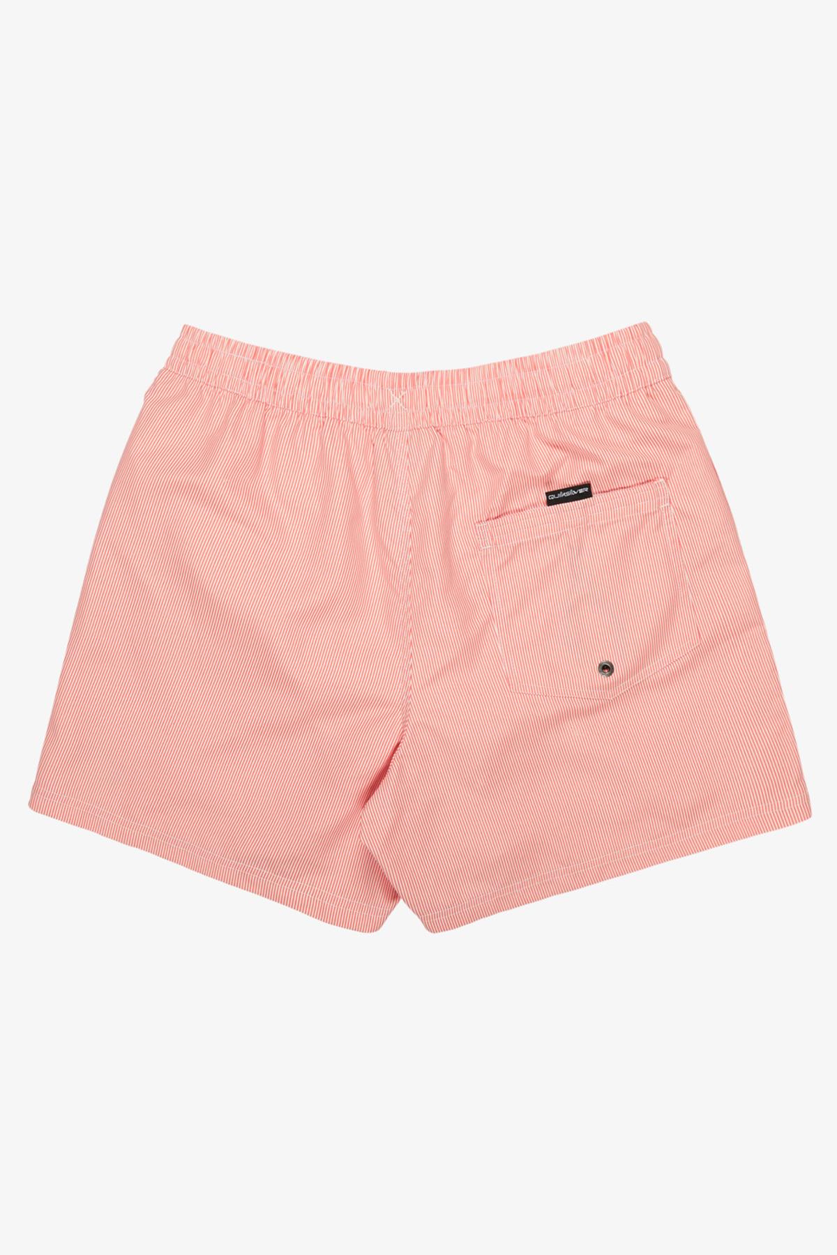 Quiksilver Everyday Deluxe Erkek Deniz Şortu