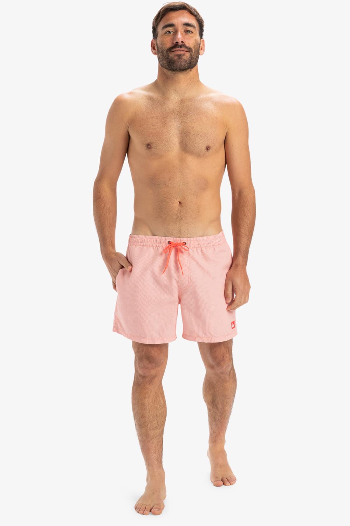 Quiksilver Everyday Deluxe Erkek Deniz Şortu