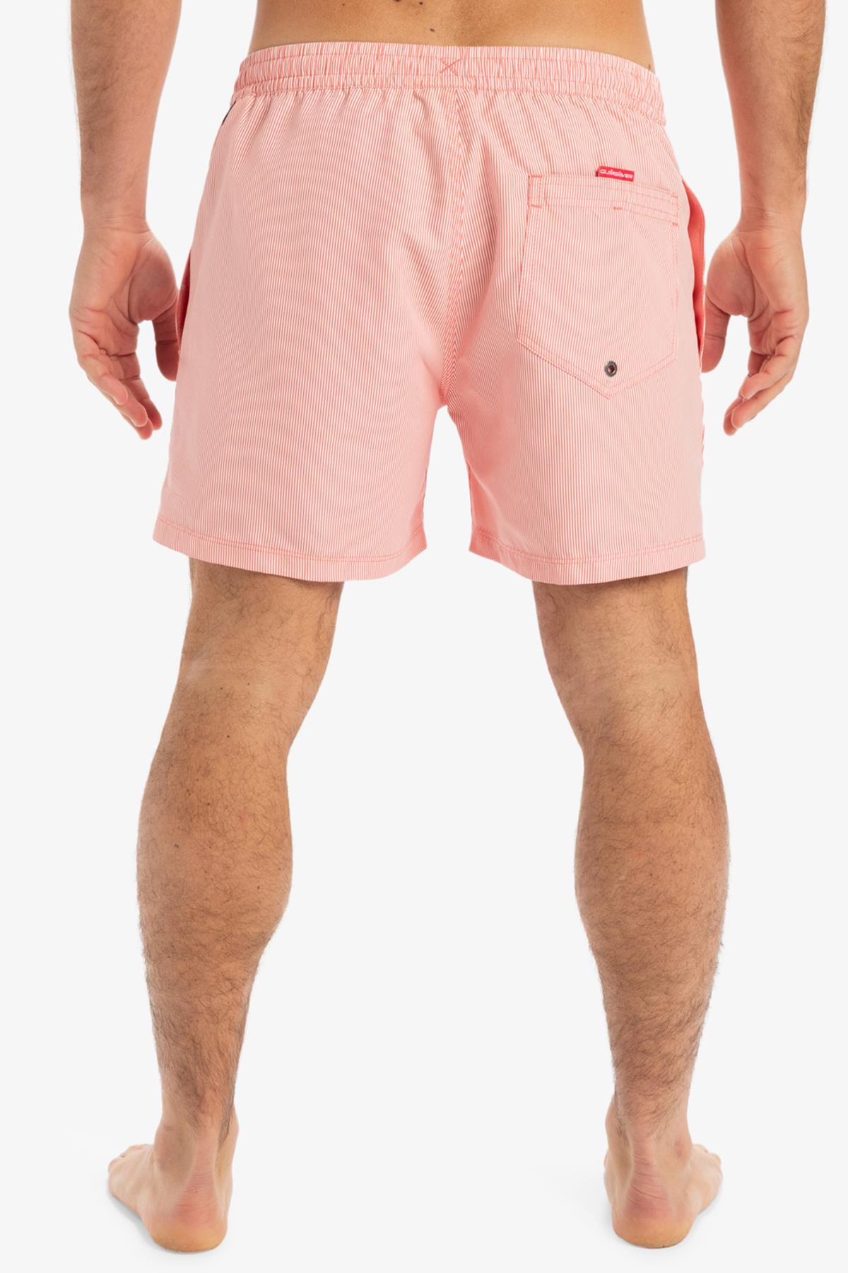 Quiksilver Everyday Deluxe Erkek Deniz Şortu