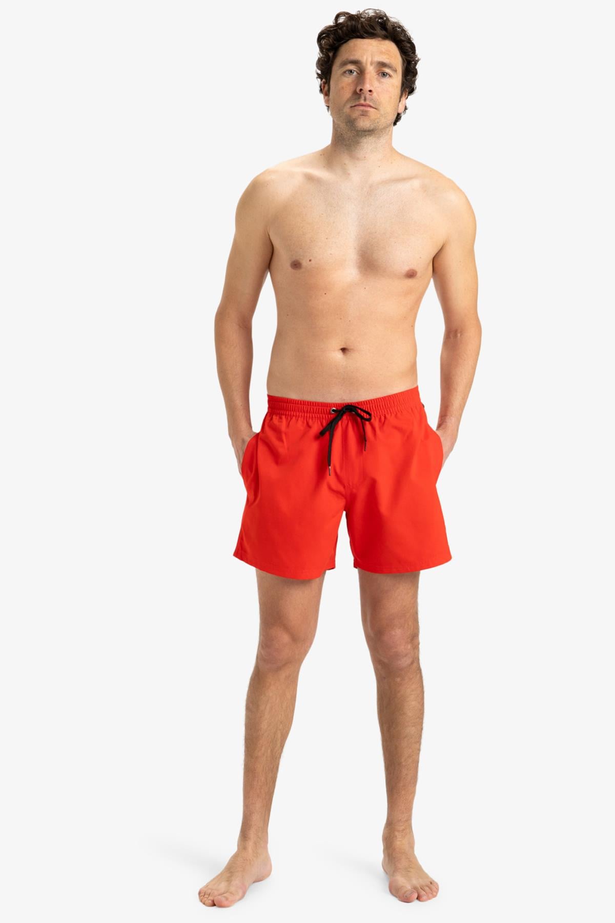 Quiksilver Everyday Solid Erkek Deniz Şortu