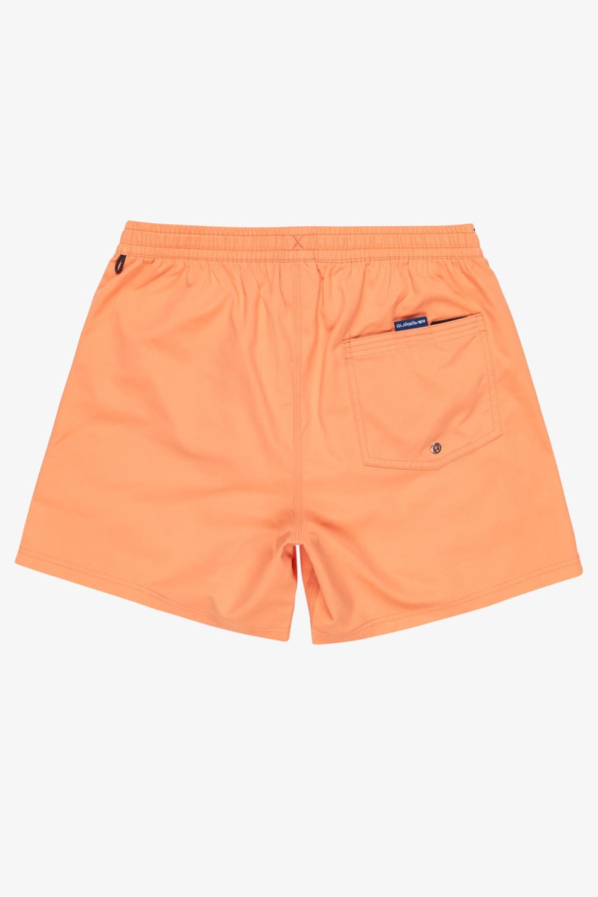 Quiksilver Everyday Solid Erkek Deniz Şortu