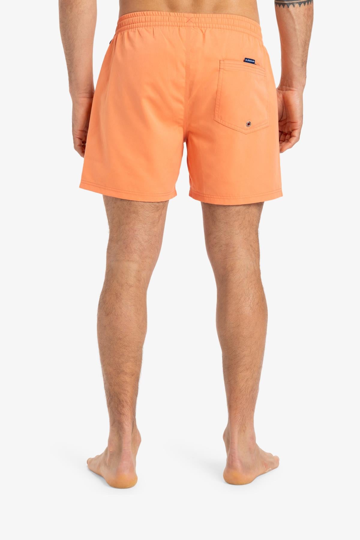 Quiksilver Everyday Solid Erkek Deniz Şortu