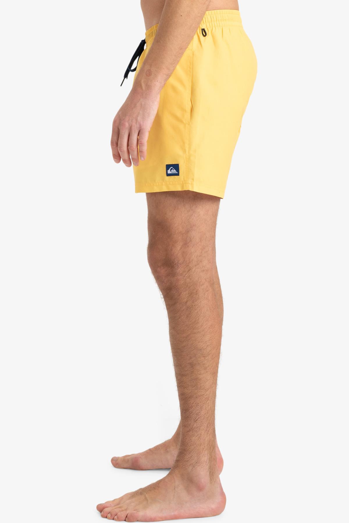 Quiksilver Everyday Solid Erkek Deniz Şortu