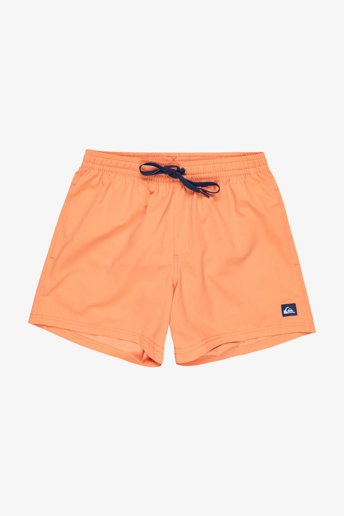 Quiksilver Everyday Solid Erkek Deniz Şortu