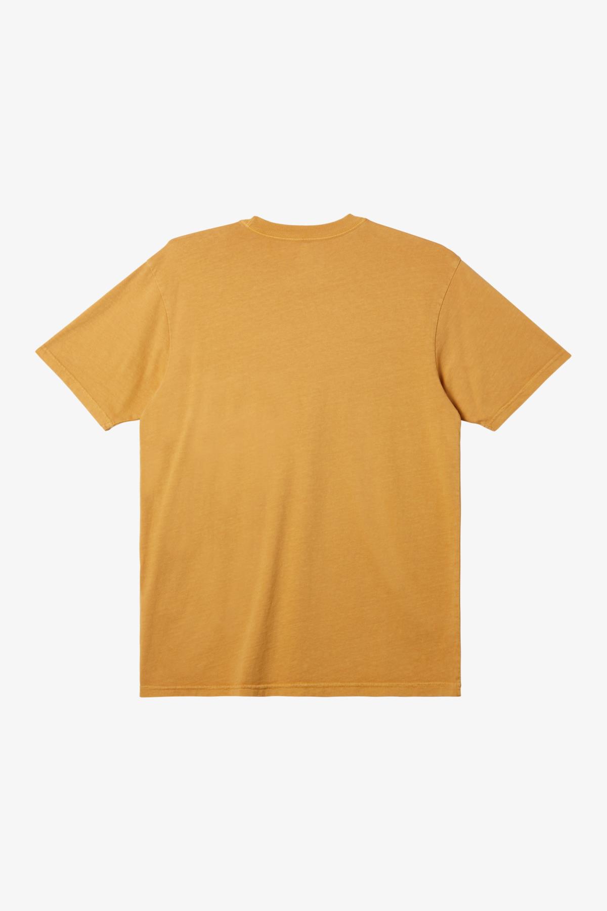 Quiksilver Salt Water Erkek Tişört AQYZT09558-69