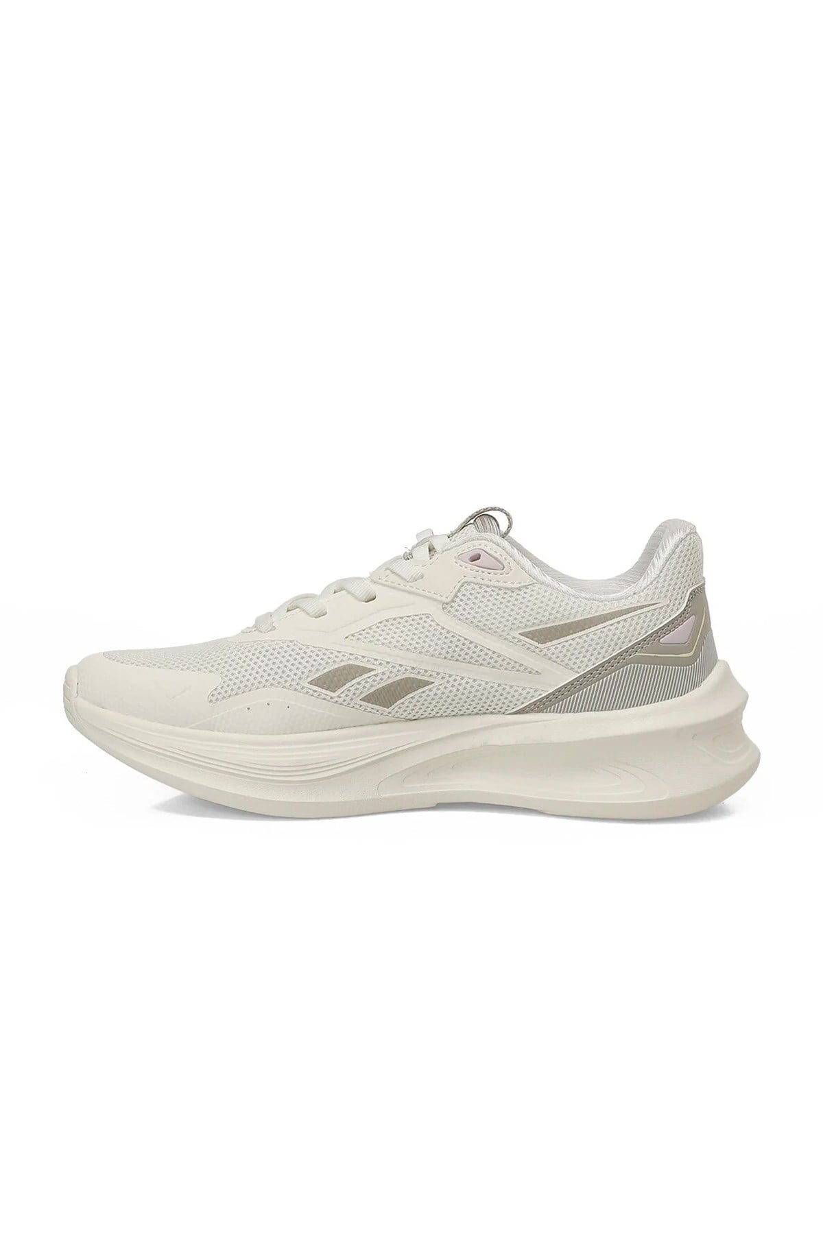 Reebok Anes Run III Kadın Spor Ayakkabı 102200373