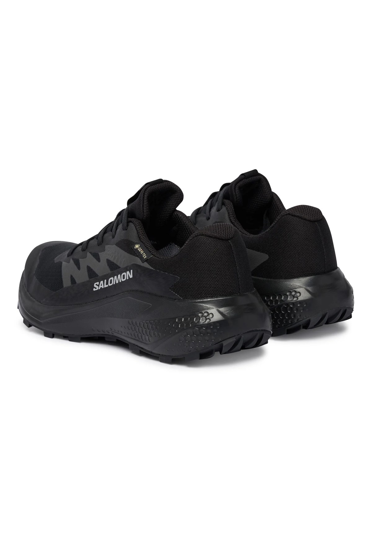 Salomon Alphaglide GTX Kadın Outdoor Ayakkabı L49214400