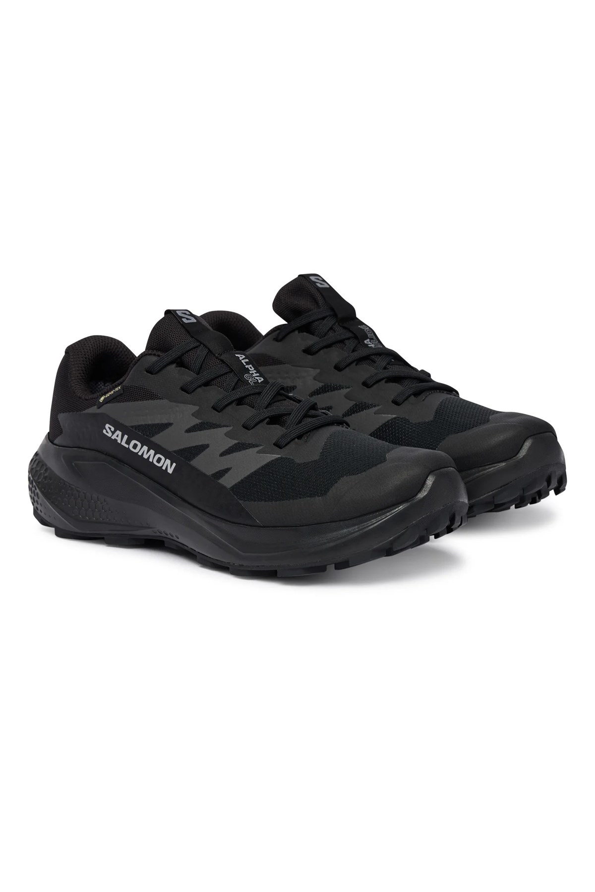 Salomon Alphaglide GTX Kadın Outdoor Ayakkabı L49214400