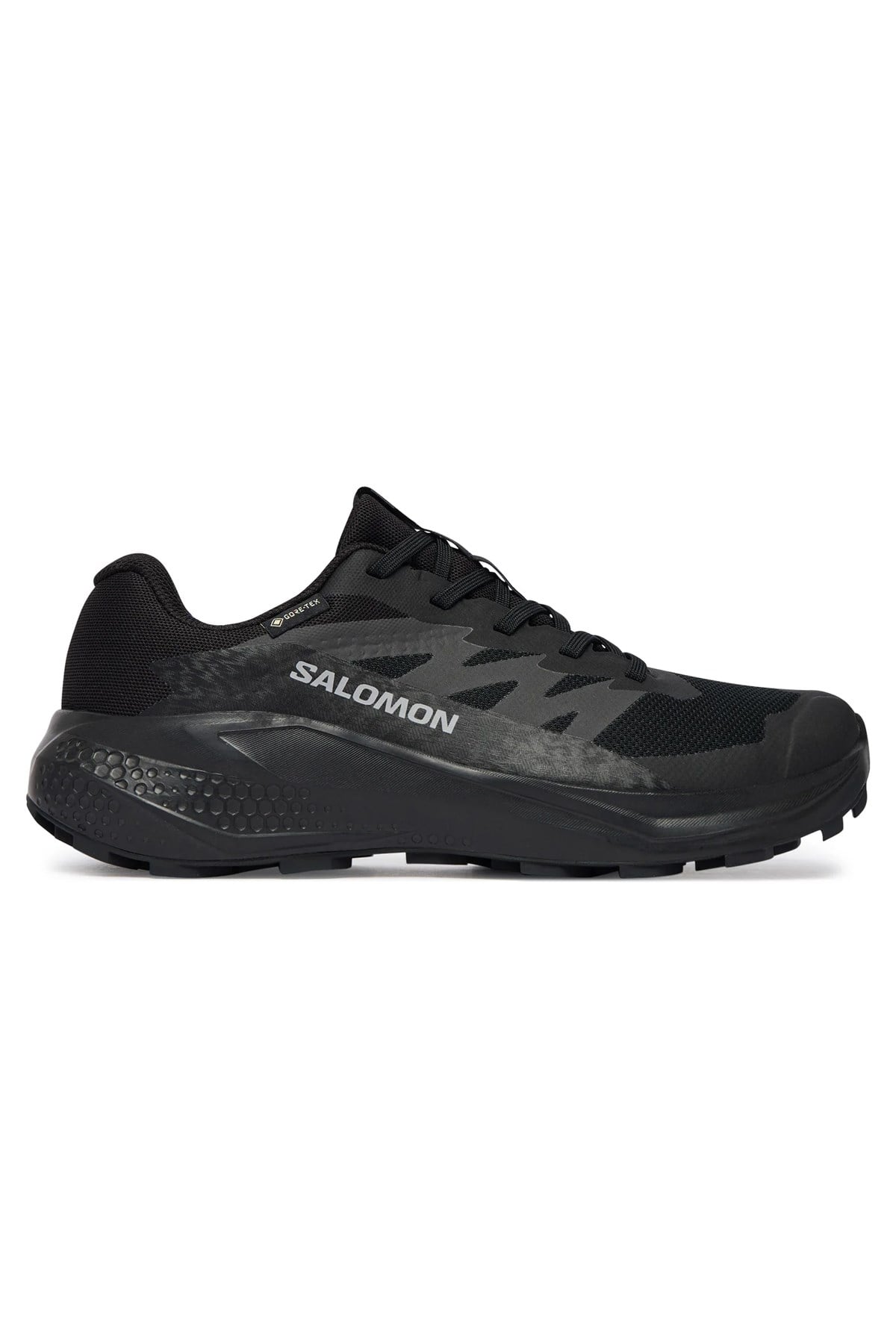 Salomon Alphaglide GTX Kadın Outdoor Ayakkabı L49214400