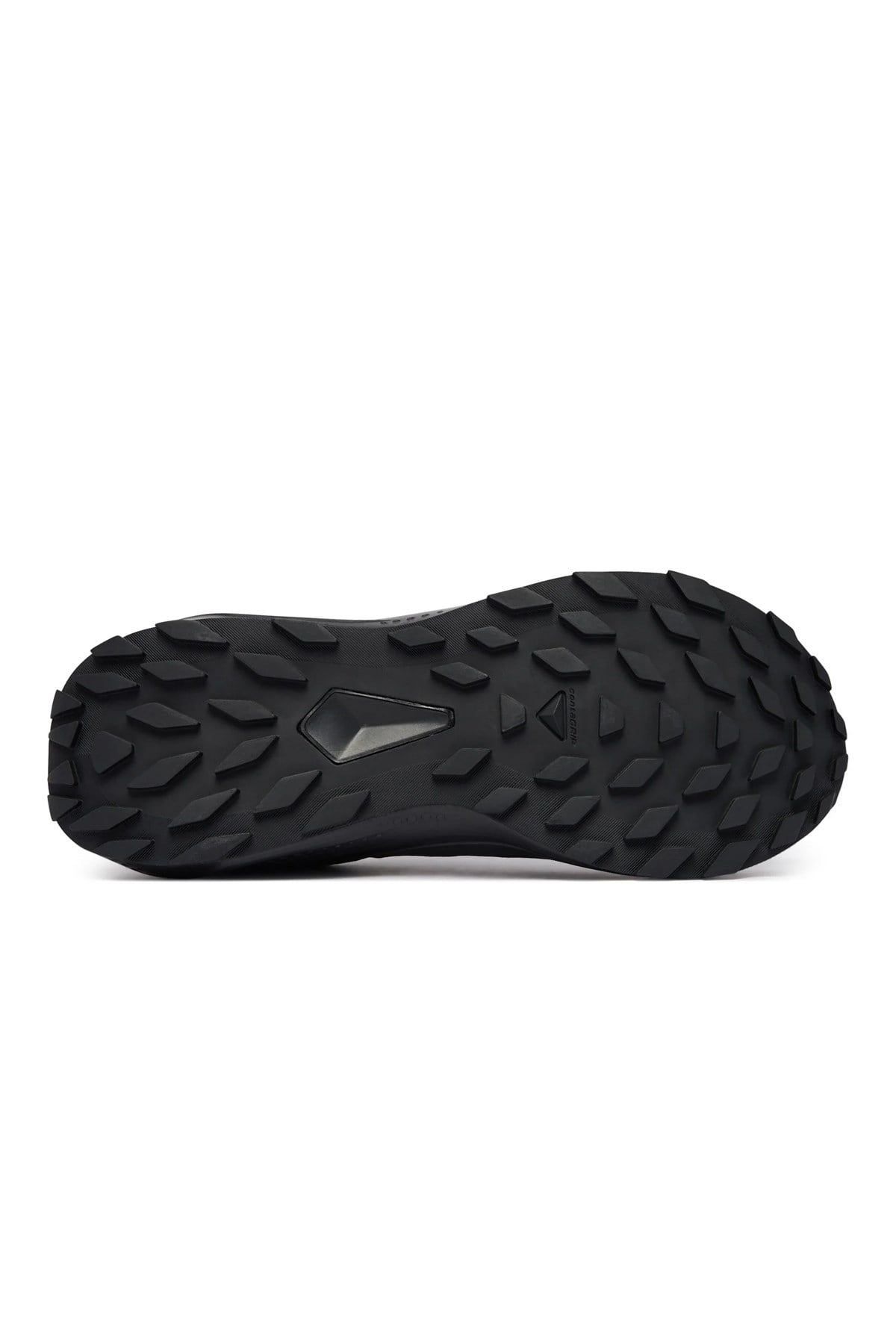 Salomon Alphaglide GTX Kadın Outdoor Ayakkabı L49214400