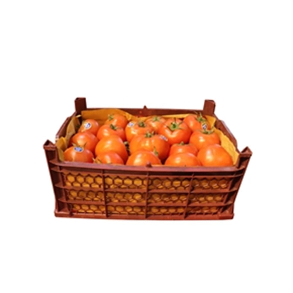 Tomato UAE 