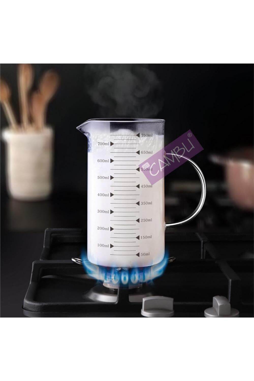French Press Borosilikat Ateşe Dayanıklı Cam 3 ü 1 Arada - 700 ml