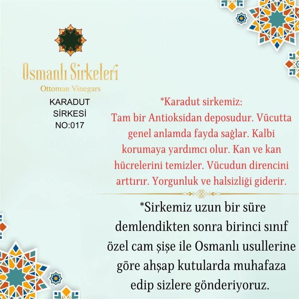 Geleneksel - 01. Karadut Sirkesi - 500 ml