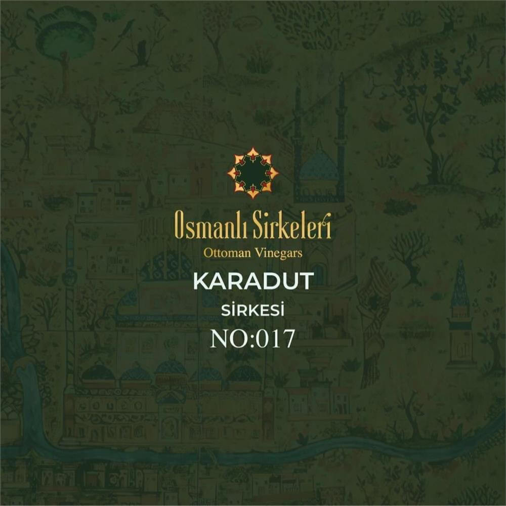 Geleneksel - 01. Karadut Sirkesi - 500 ml