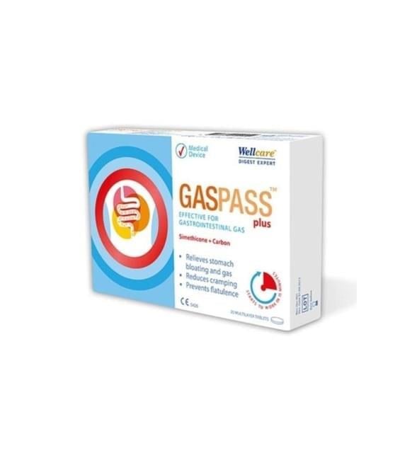 Wellcare Gaspass Plus 20 Tablet