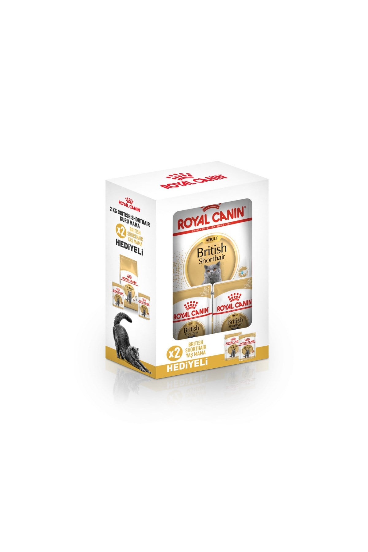 Royal Canin British Shorthair Yetişkin Kedi Maması 2 kg + 2 Adet Pouch Hediyeli
