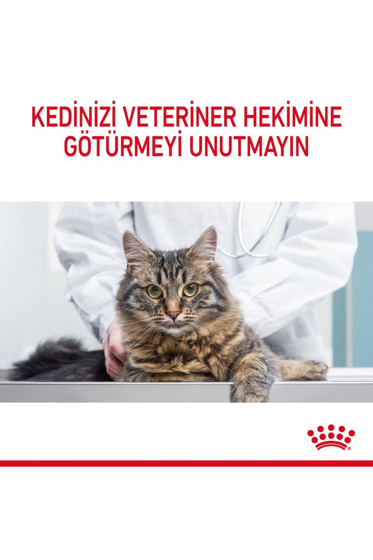 Royal Canin Hair & Skin Deri Ve Tüy Sağlığı Için Yetişkin Kedi Maması 4 Kg