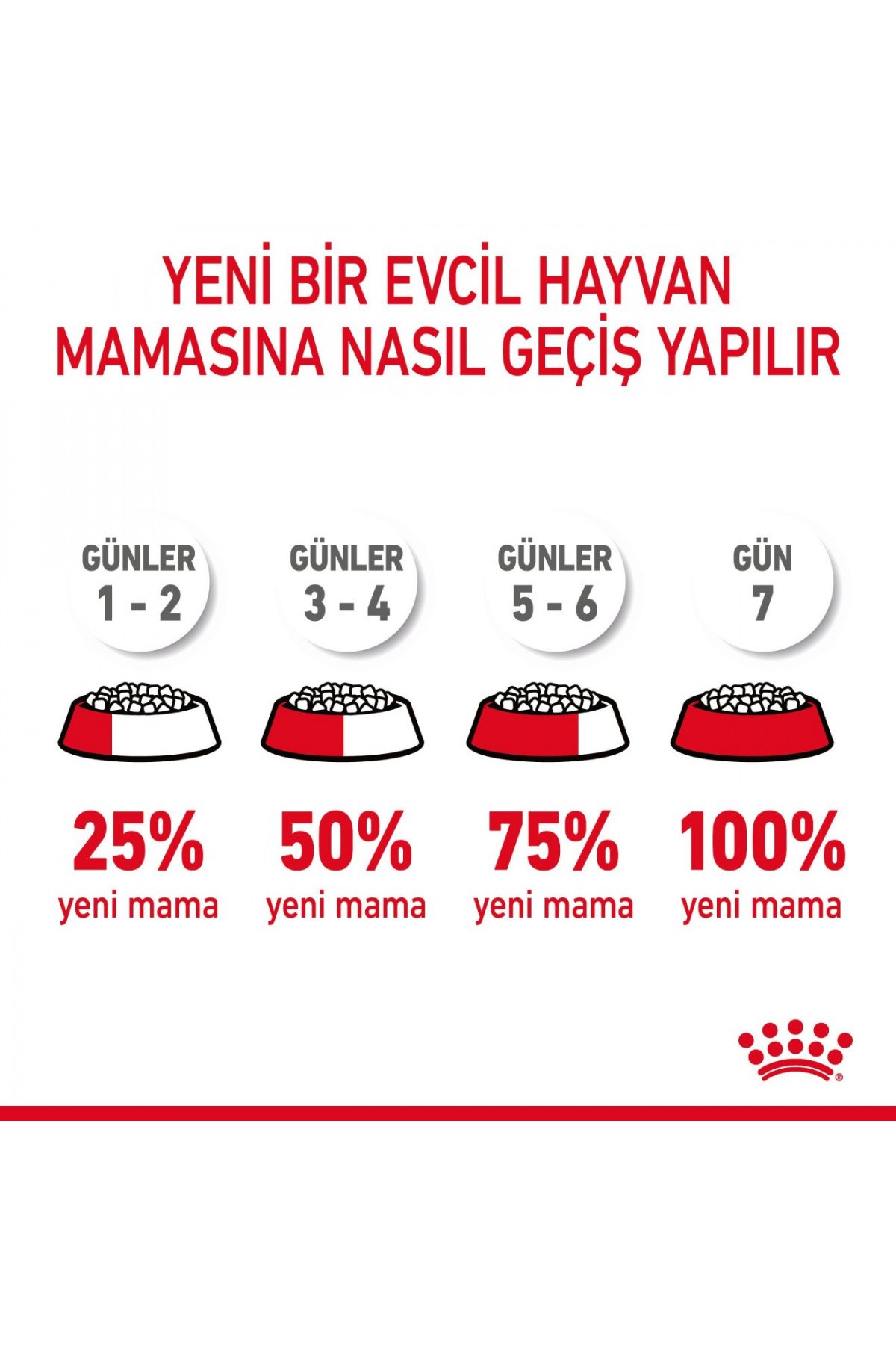 Royal Canin Hair & Skin Deri Ve Tüy Sağlığı Için Yetişkin Kedi Maması 4 Kg