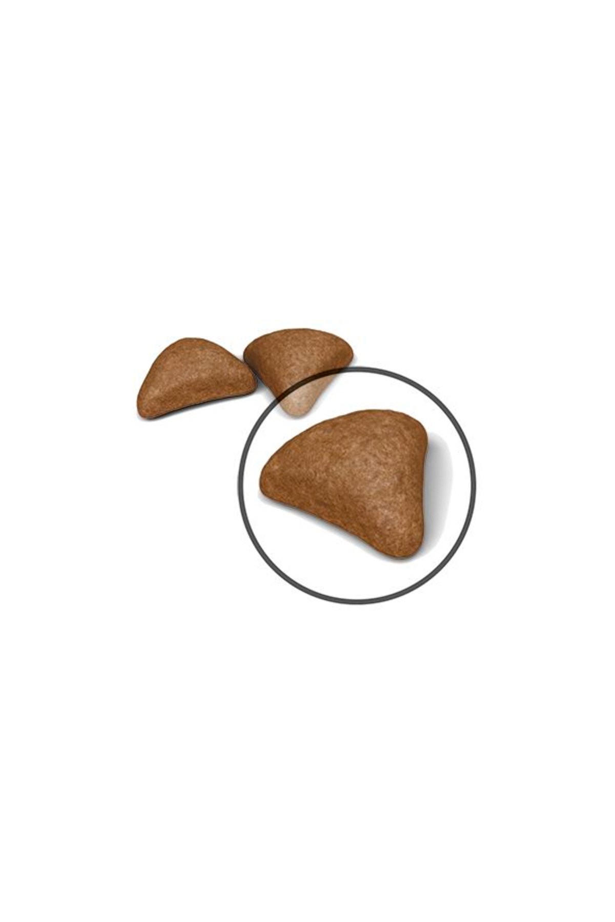 Royal Canin Hairball Care Tüy Yumağı Kontrolü Kedi Maması 2 kg