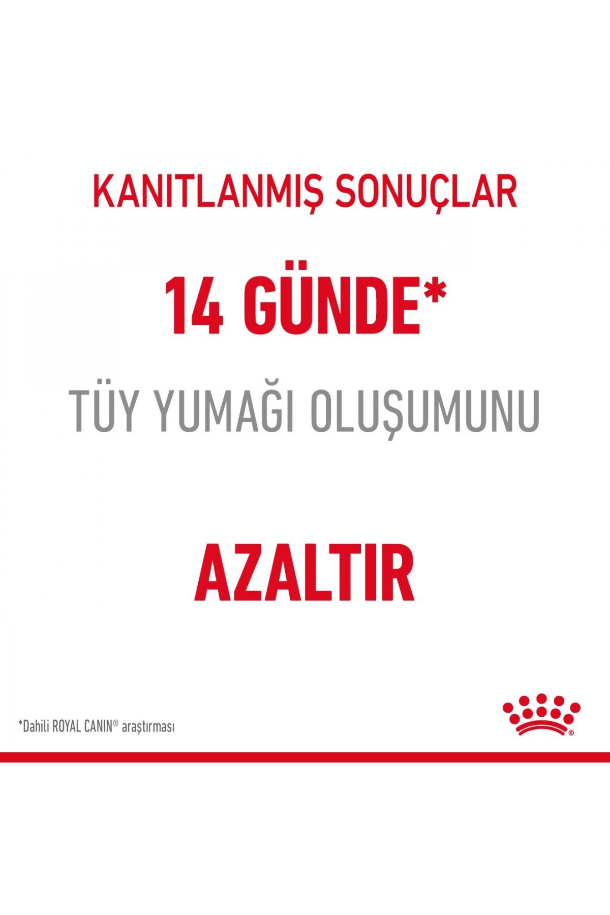 Royal Canin Hairball Care Tüy Yumağı Kontrolü Kedi Maması 2 kg