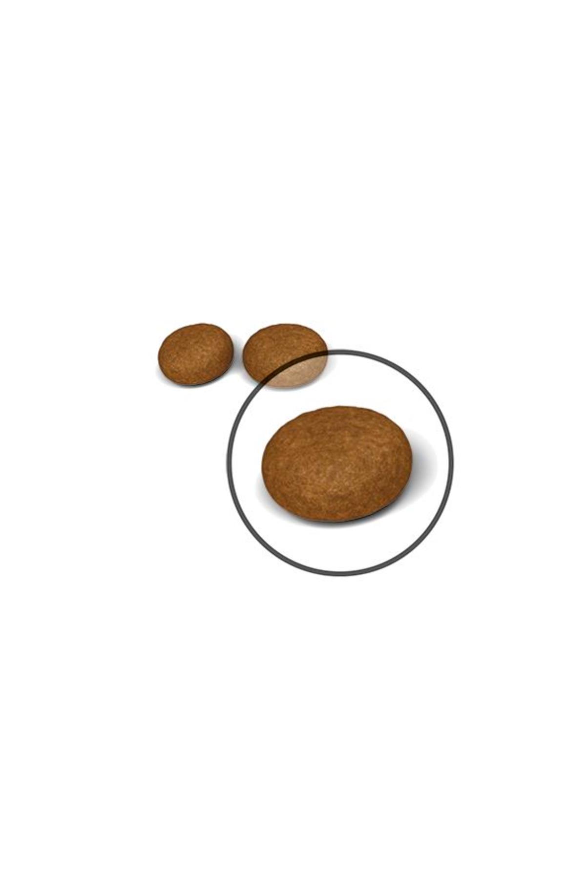 Royal Canin Hair&Skin Care 2 Kg Tüy ve Deri Sağlığı Yetişkin Kuru Kedi Maması