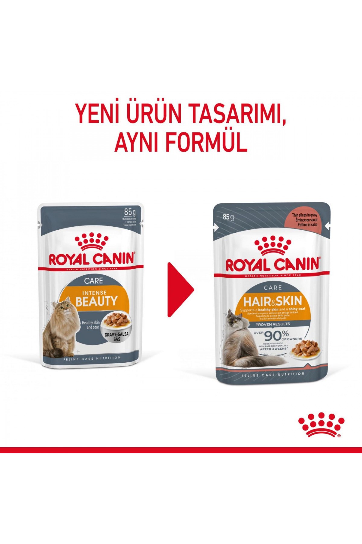 Royal Canin Hair&Skin Tüy ve Deri Sağlığı için Yaş Kedi Maması 12 x 85g