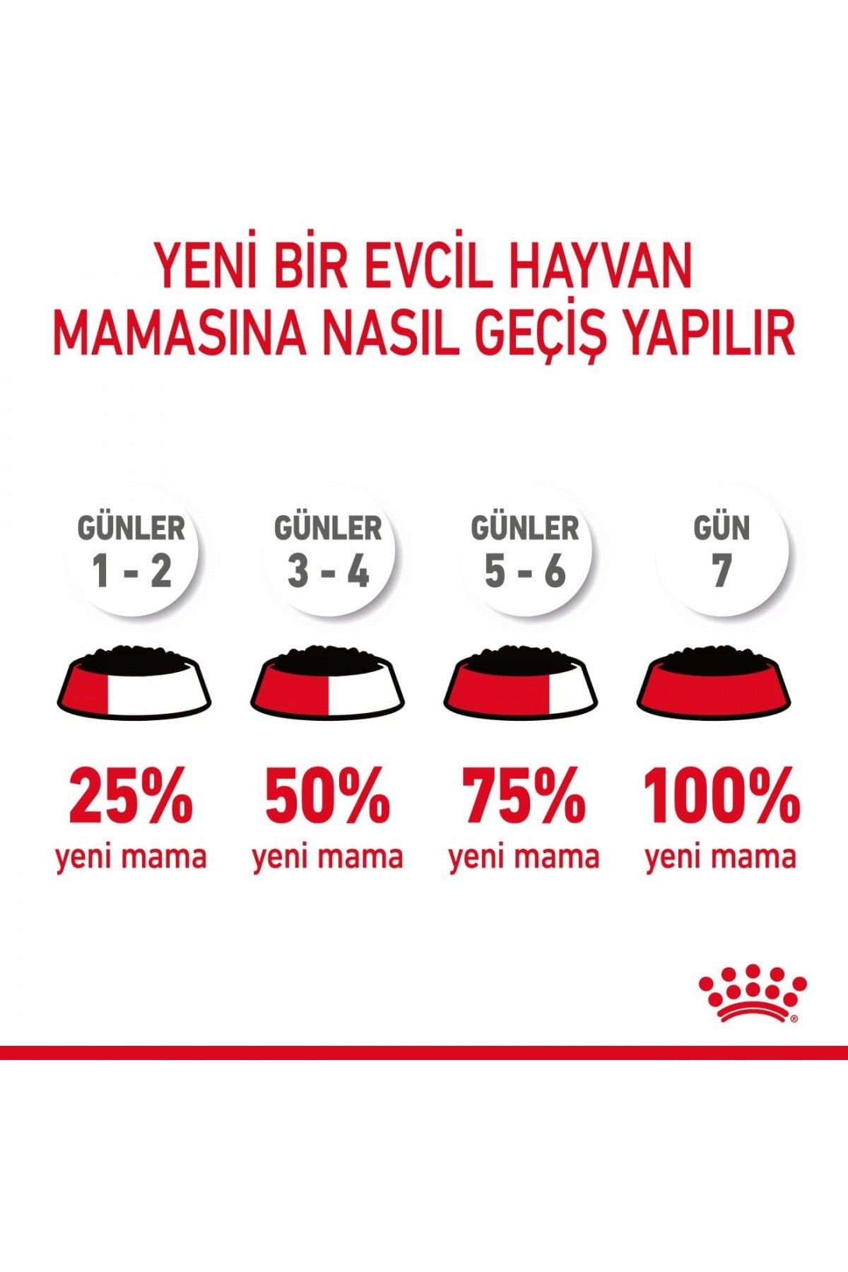 Royal Canin Hair&Skin Tüy ve Deri Sağlığı için Yaş Kedi Maması 12 x 85g