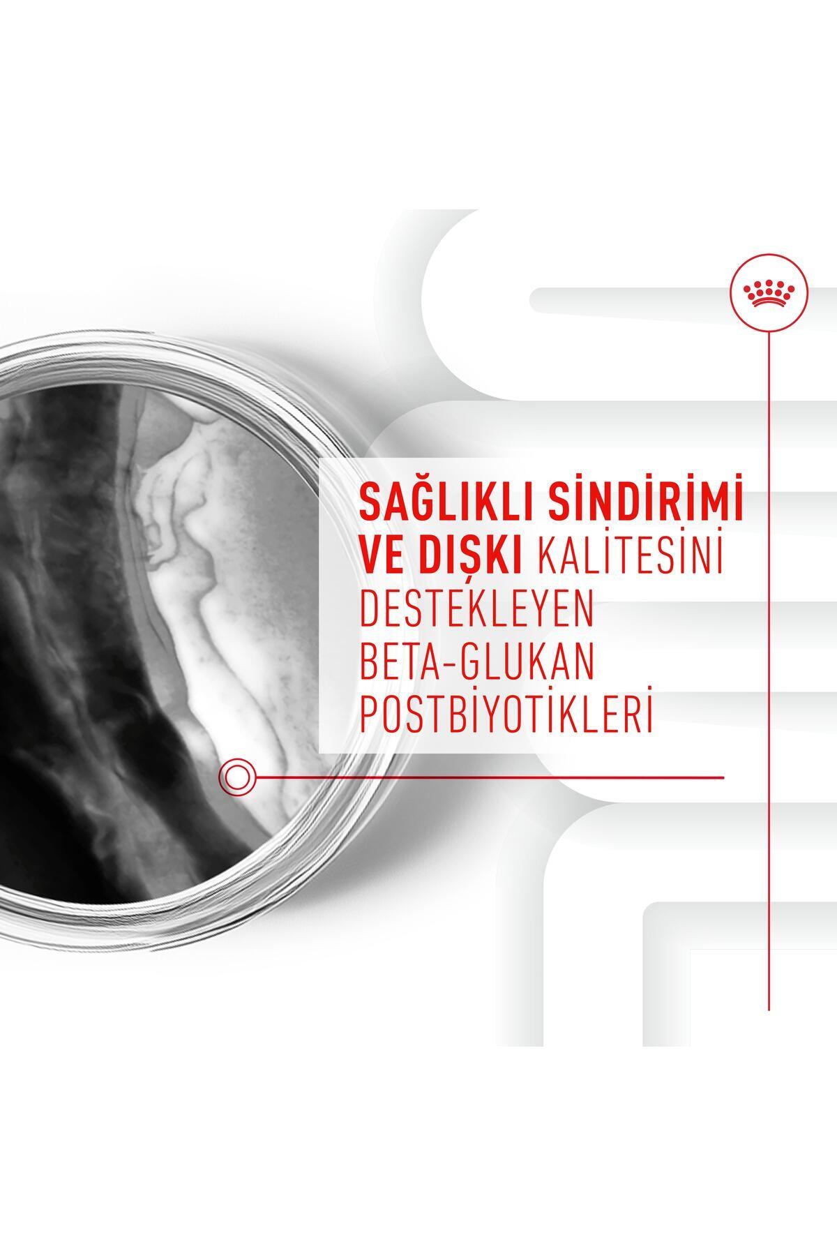Royal Canin Immunity&Digestion Chews Bağışıklık ve Sindirim Sistemini Destekleyen Tamamlayıcı Ödül Maması 100 g
