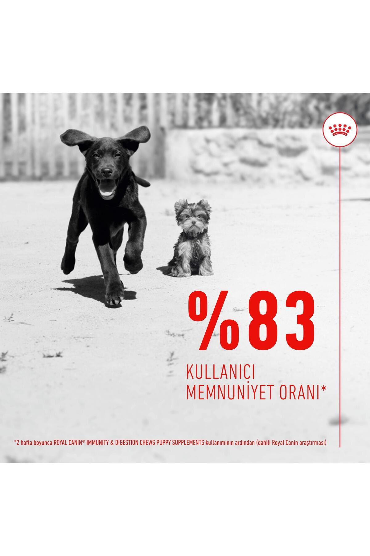 Royal Canin Immunity&Digestion Chews Bağışıklık ve Sindirim Sistemini Destekleyen Tamamlayıcı Ödül Maması 100 g