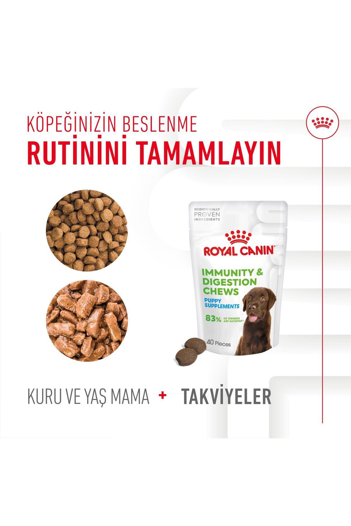 Royal Canin Immunity&Digestion Chews Bağışıklık ve Sindirim Sistemini Destekleyen Tamamlayıcı Ödül Maması 100 g