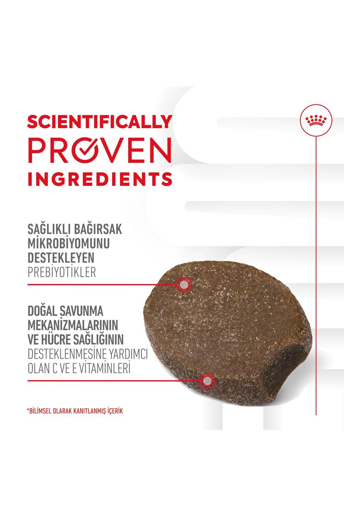 Royal Canin Immunity&Digestion Chews Bağışıklık ve Sindirim Sistemini Destekleyen Tamamlayıcı Ödül Maması 100 g