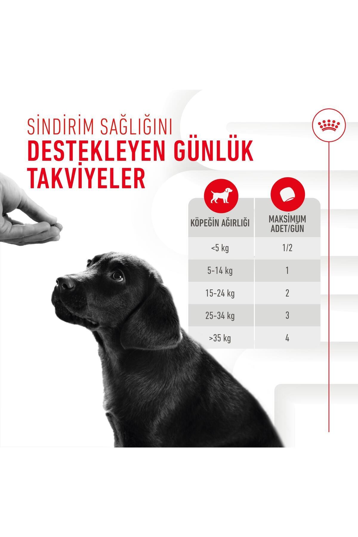 Royal Canin Immunity&Digestion Chews Bağışıklık ve Sindirim Sistemini Destekleyen Tamamlayıcı Ödül Maması 100 g