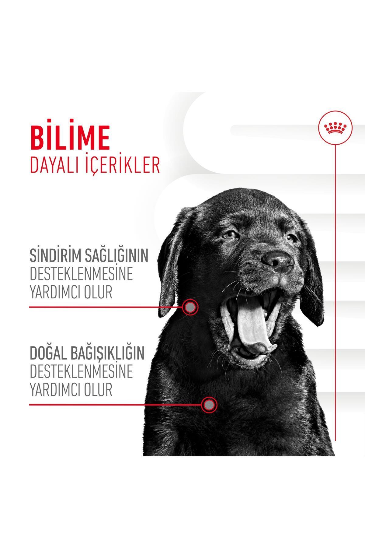 Royal Canin Immunity&Digestion Chews Bağışıklık ve Sindirim Sistemini Destekleyen Tamamlayıcı Ödül Maması 100 g