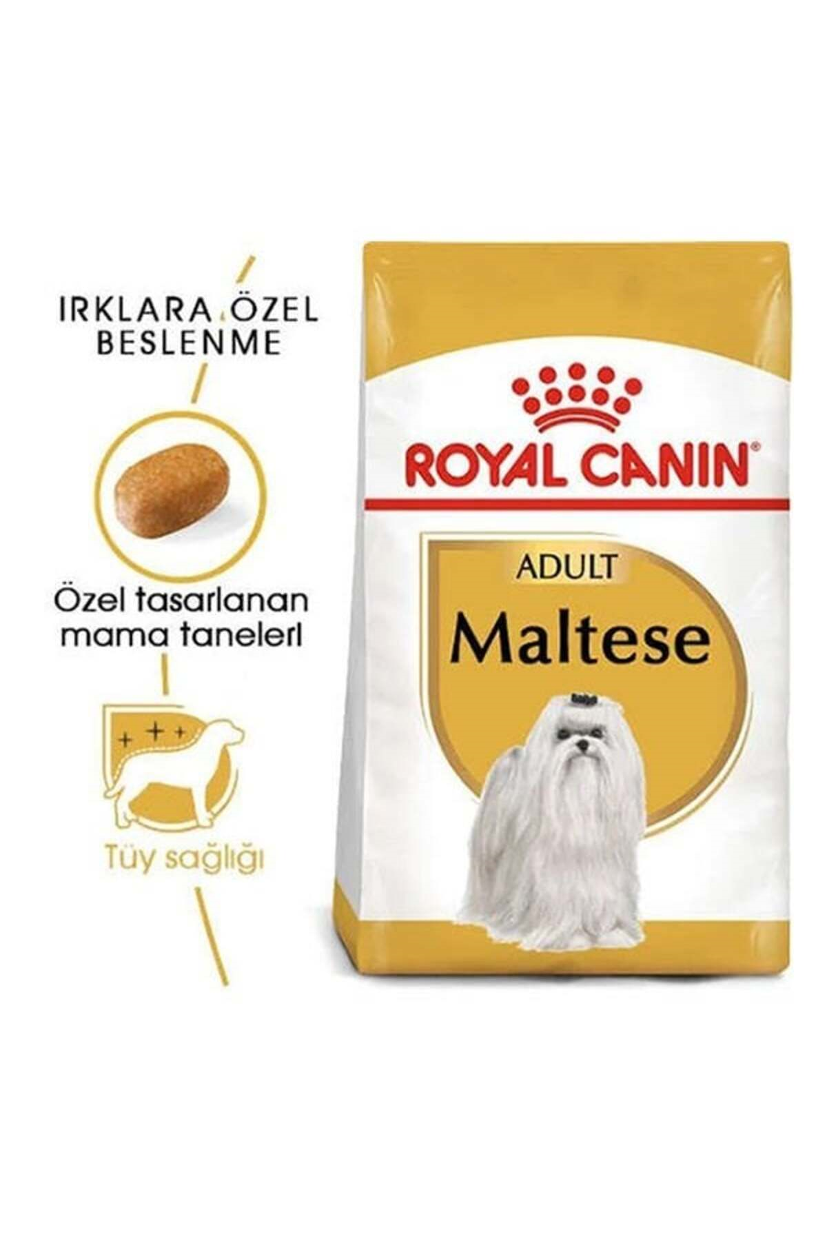 Royal Canin Maltese Yetişkin Köpek Maması 1,5 kg