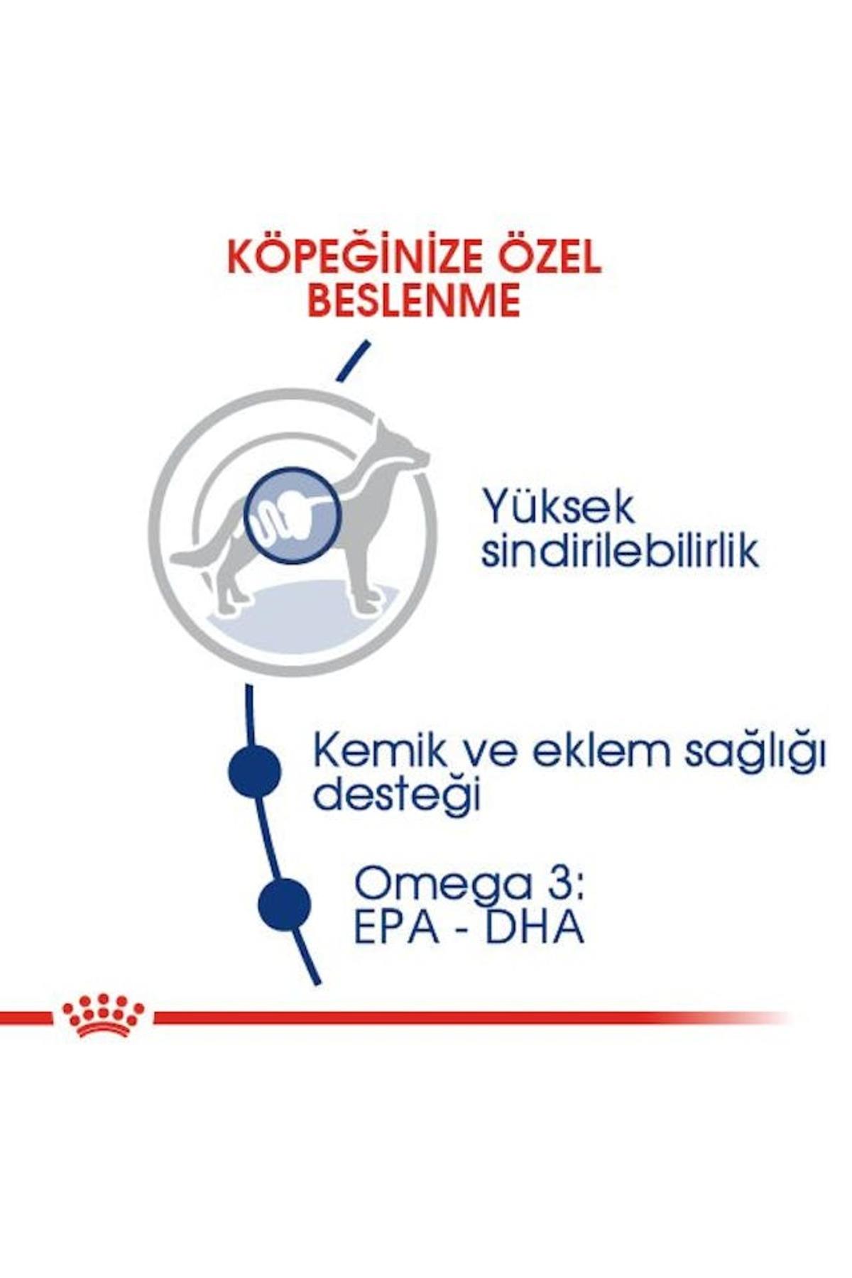 Royal Canin Maxi Adult 15 Kg Yetişkin Kuru Köpek Maması